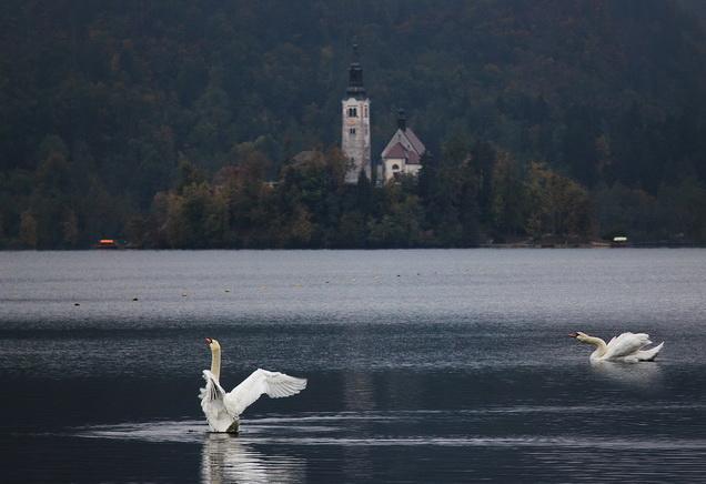Apartment Villa Vltava Bled Luaran gambar